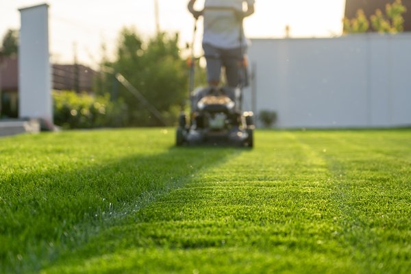 Professional Tips for Lawn Care and Weed Control