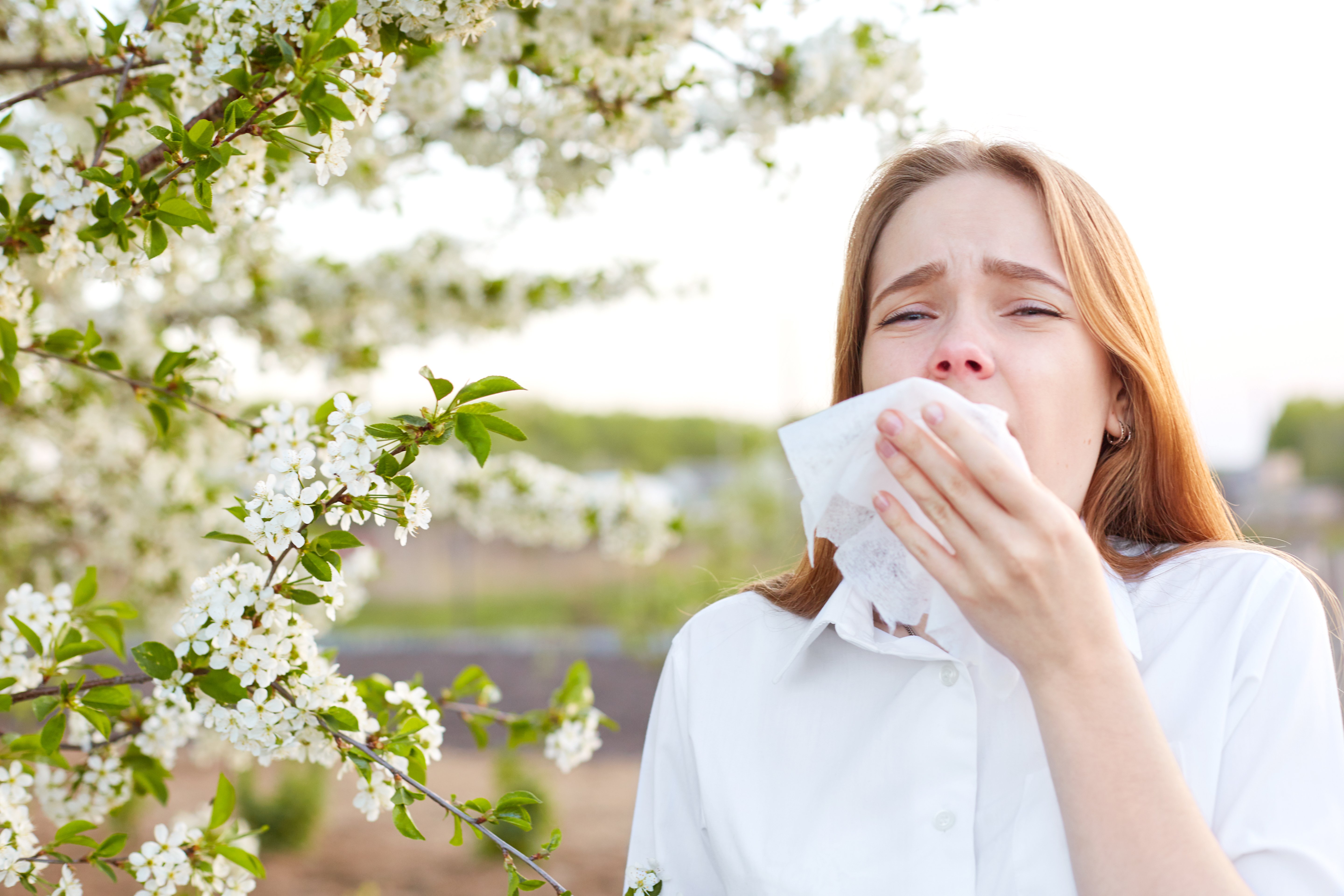 How to Reduce Seasonal Allergies Naturally