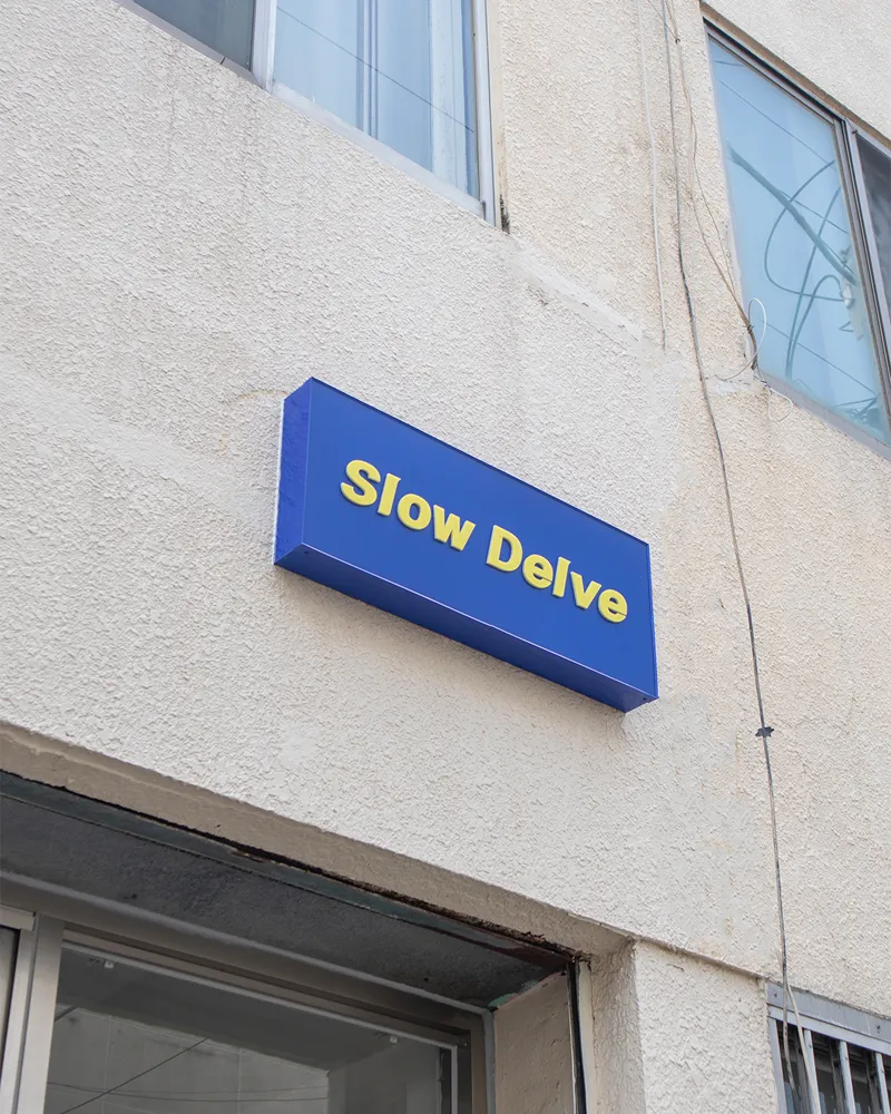 슬로우델브SlowDelve