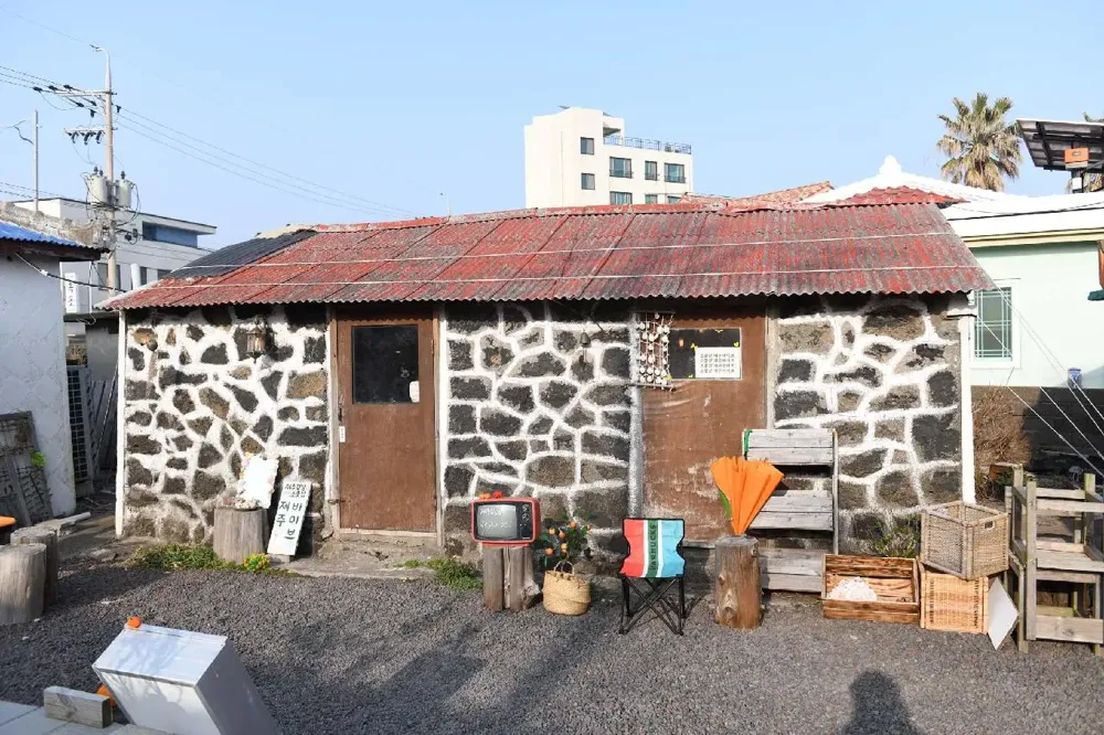 제주바이브