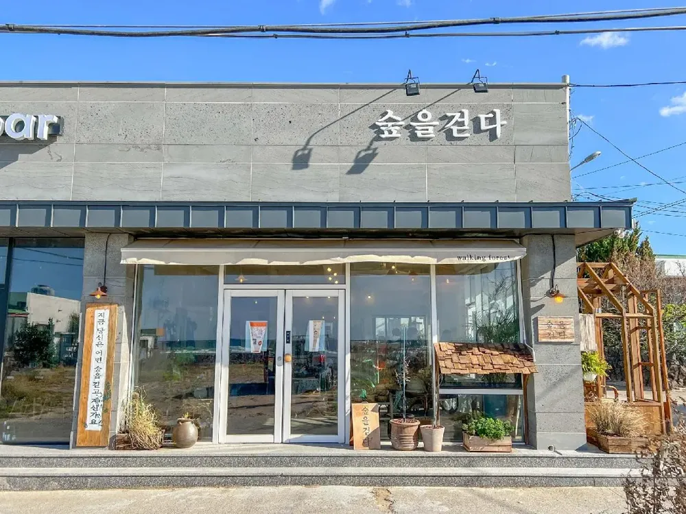 숲을걷다