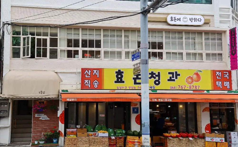 효돈에반하다