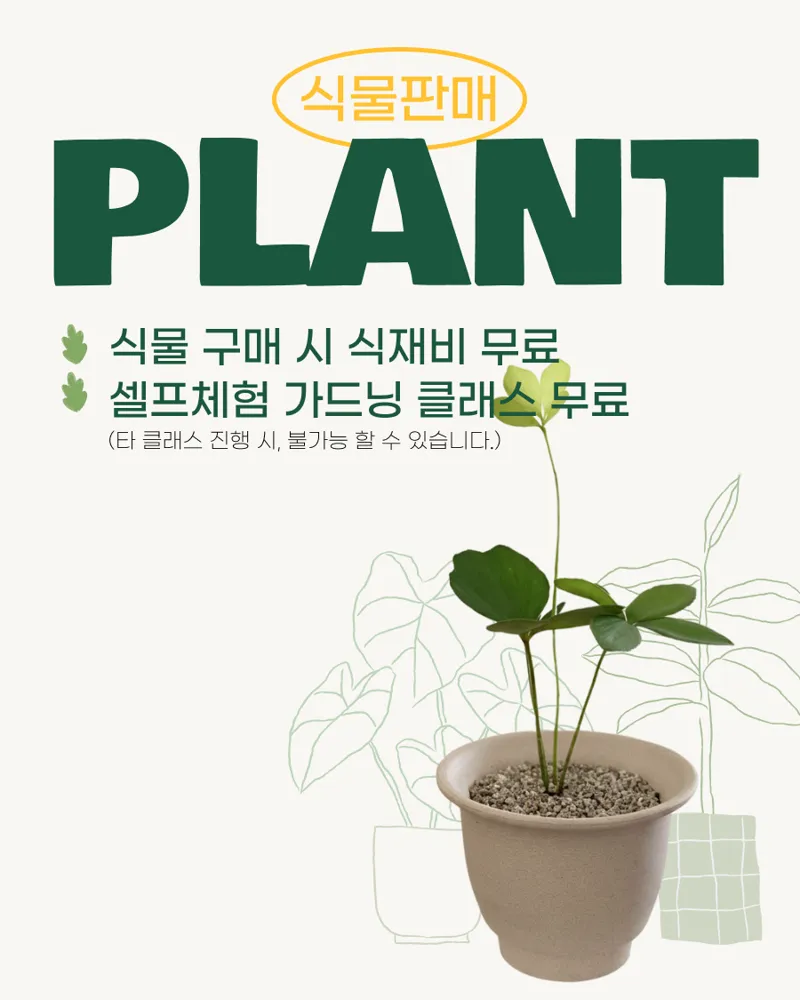 델라젬