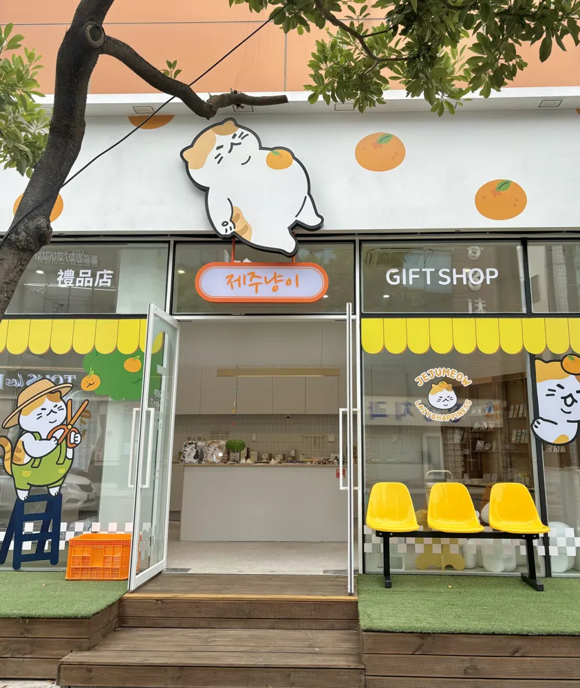 제주냥이 함덕점