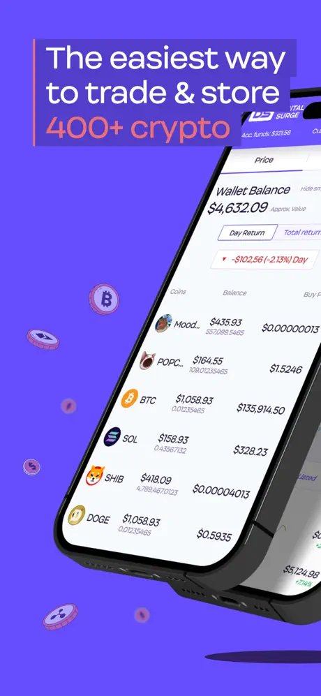 Digital Surge app screenshoot 2