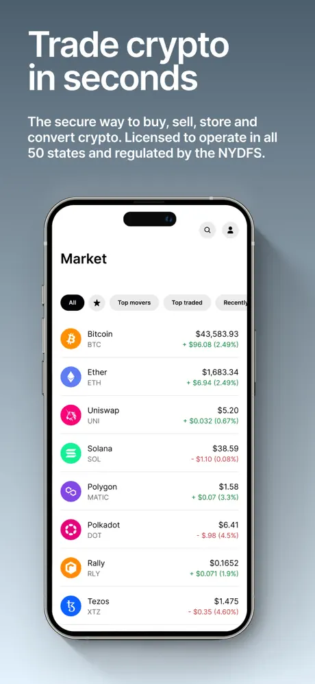 Gemini app screenshoot 1