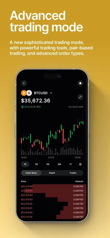 Gemini app screenshoot 2