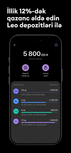 Leo bank app screenshoot 2