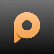 Prizepool logo