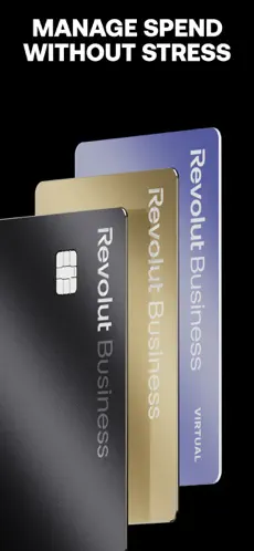Revolut Business app screenshoot 2