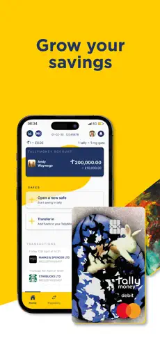 Tally Money app screenshoot 1