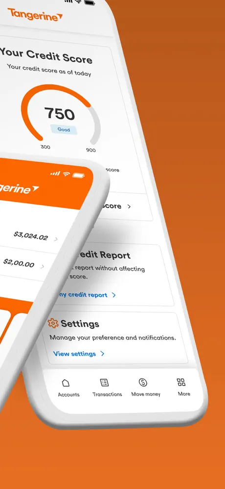 Tangerine app screenshoot 2