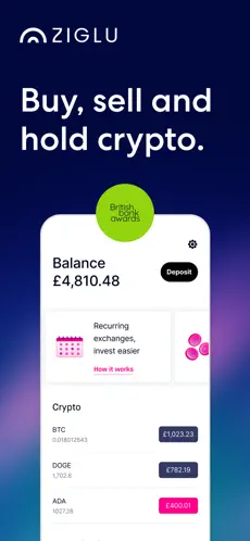 Ziglu app screenshoot 1