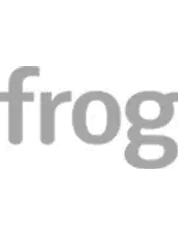 frog design
