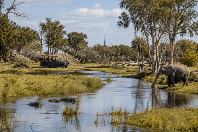 Moremi Game Reserve (day trip or overnight via South Gate area)