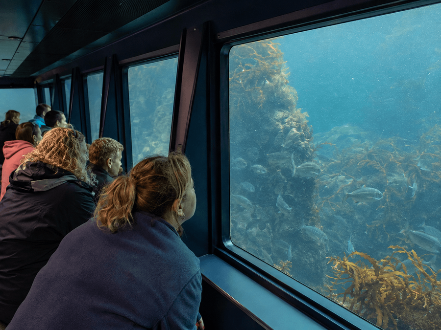 Milford Sound Underwater Observatory 1
