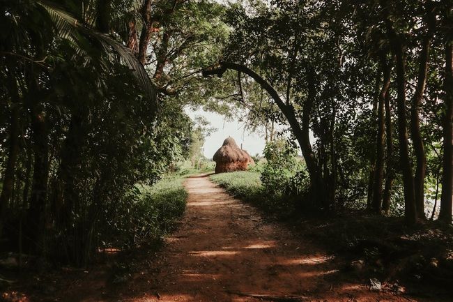 Community Visit (Sadhana Forest / Solitude Farm)