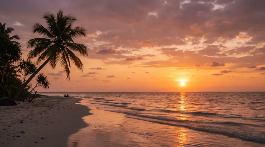 Sunset over the sea at Havelock Island with a palm tree silhouette