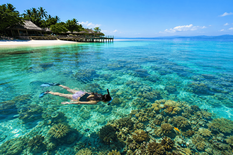 Coral reef snorkeling
