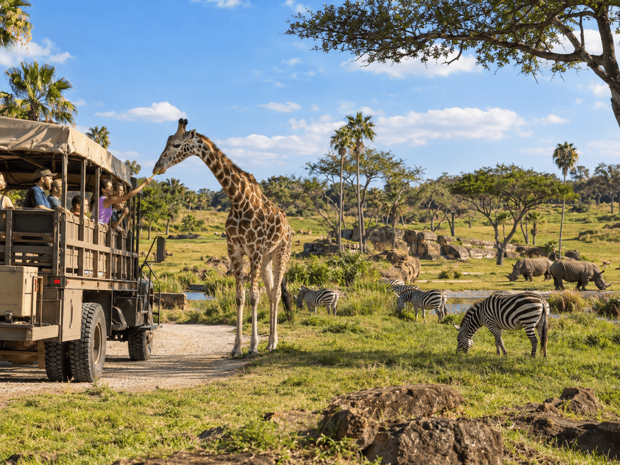 The Serengeti Plain