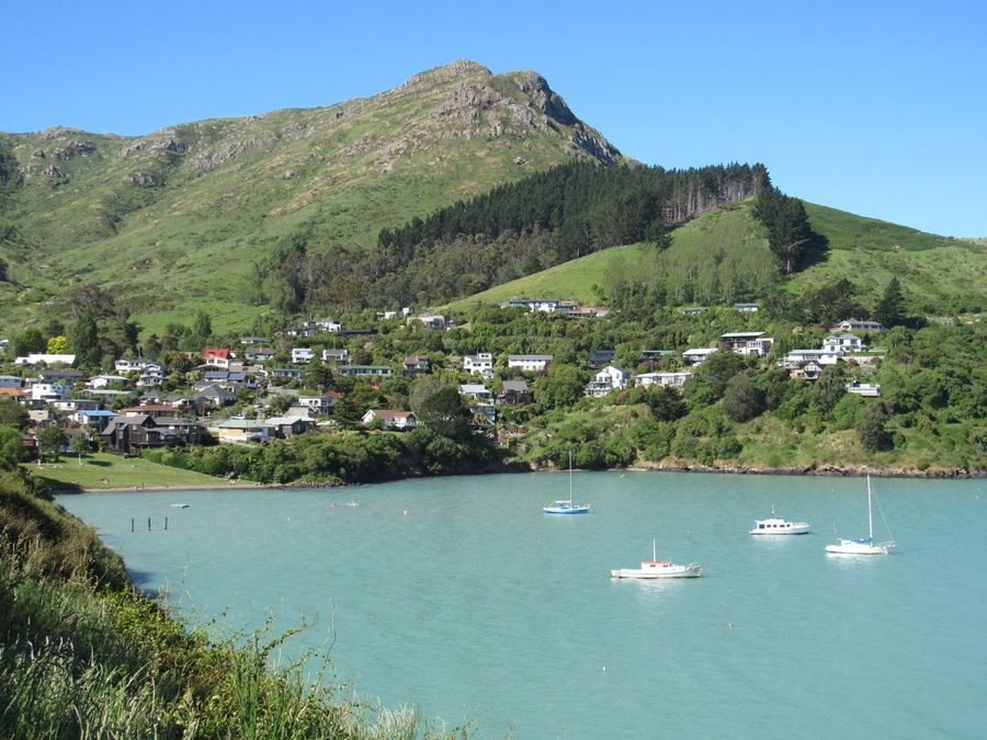 Waiheke Island highlight