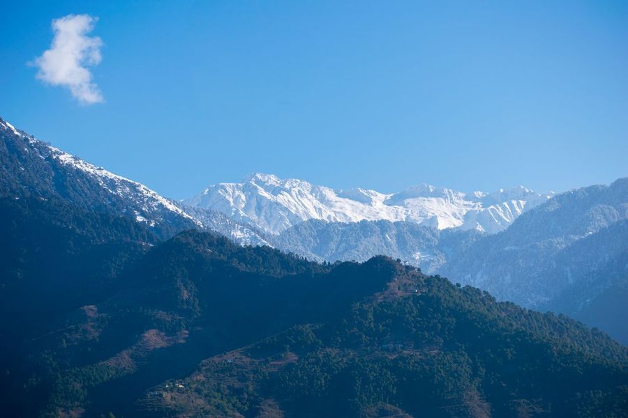 Dharamkot highlight