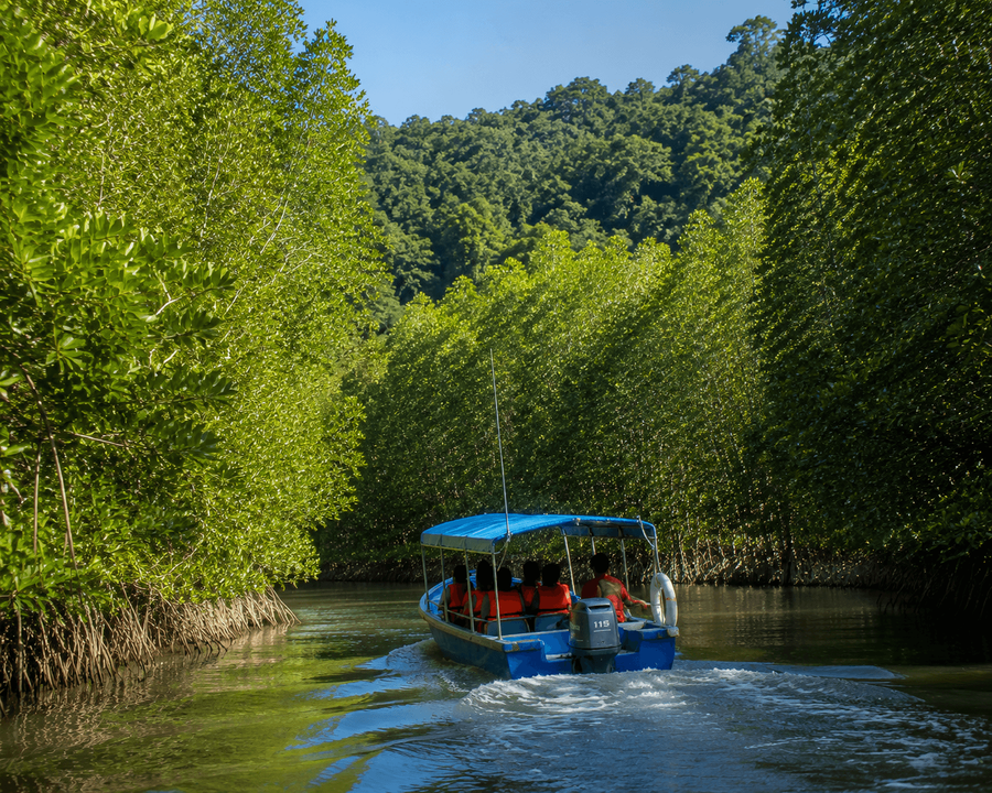 Sailing through the Mangroves of Penang National Park