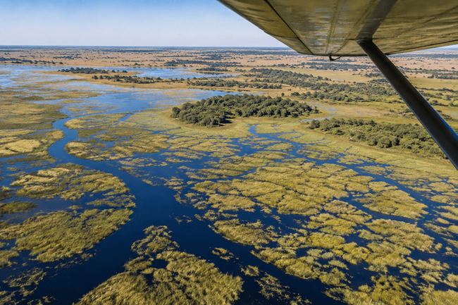 Okavango Delta Scenic Flight (from Maun Airport)