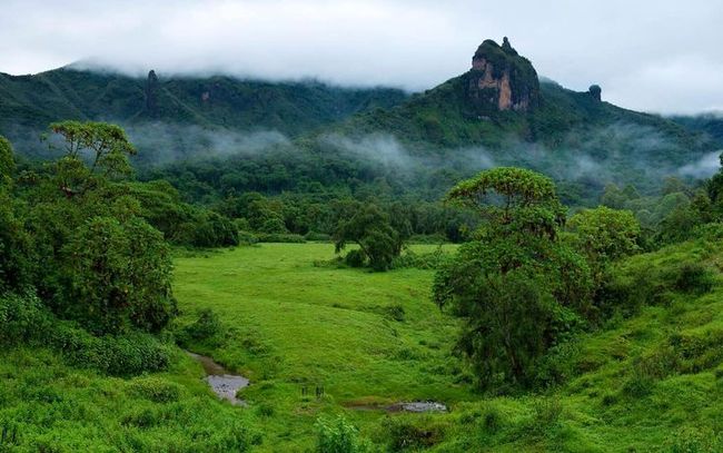 Bale Mountains highlight