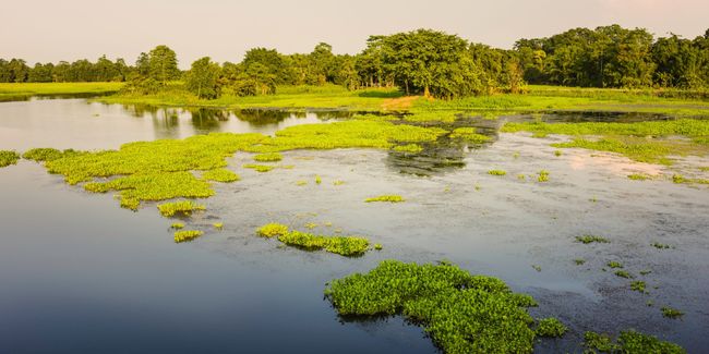 Majuli River Island