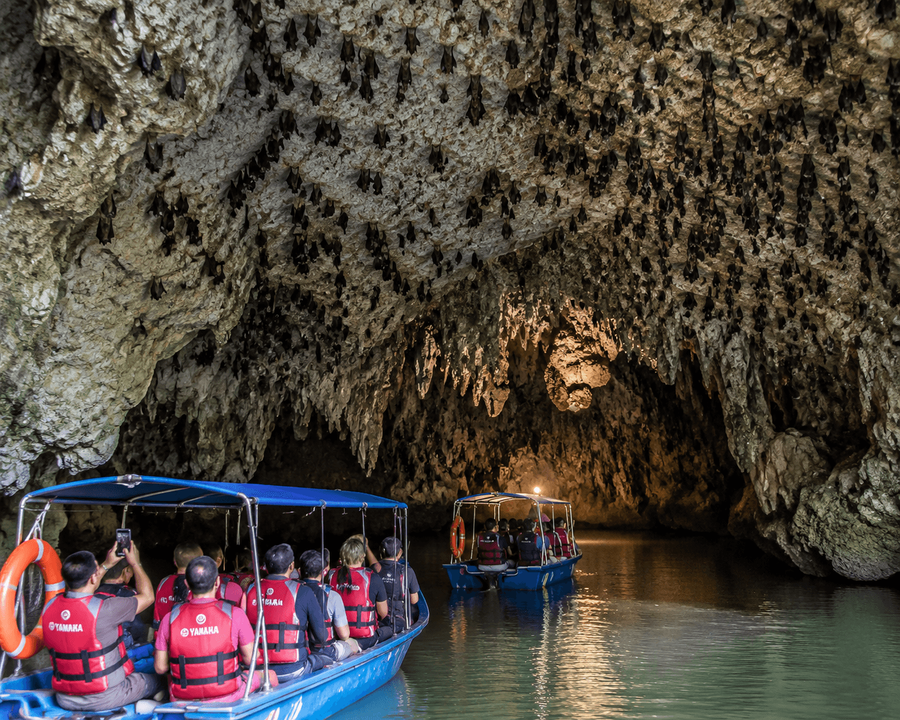 Bat Cave exploration