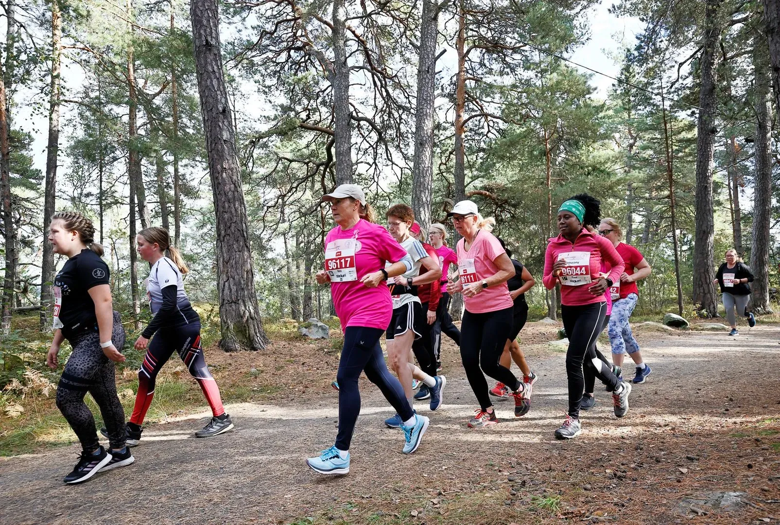 Rosa Bandet-loppet