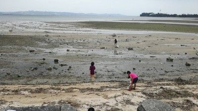 松山市海岸ビーチクリーン活動&ビーチヨガ体験