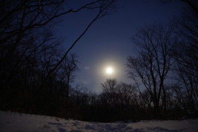 2月特別ガイドウォーク「満月のナイトスノーシュー　～ゆっくり過ごす夜の森～」