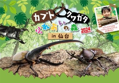 カブト・クワガタ ふれあいの森 in 仙台 2024