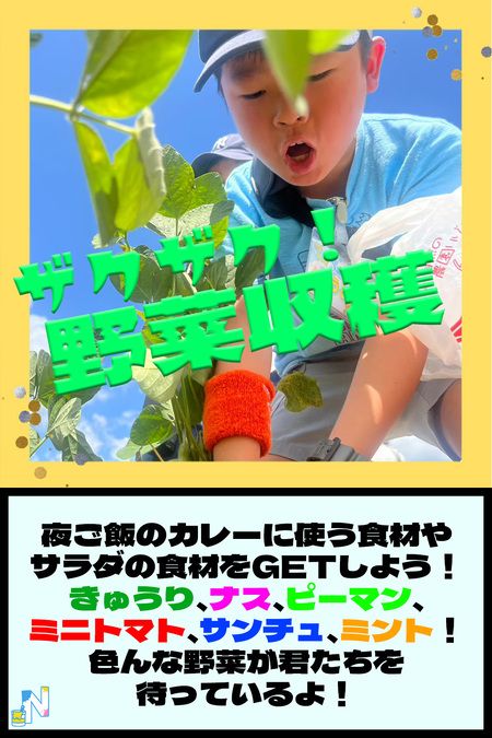 7/13-14実施 初心者向けお泊まりイベント！はじめてキャンプ編