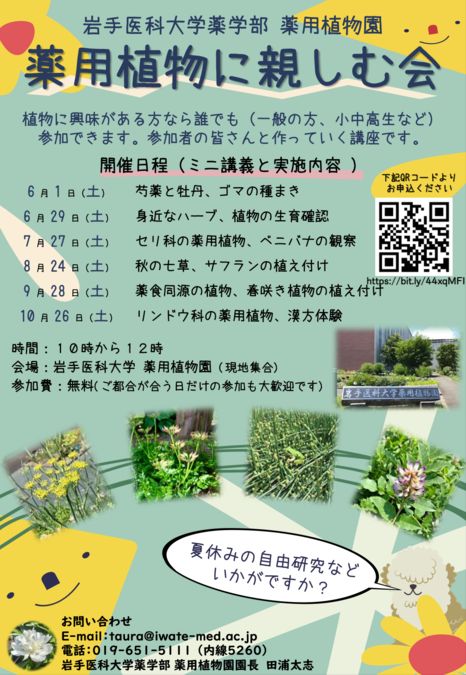 薬用植物に親しむ会 10/26 十時 リンドウ科の薬用植物、漢方体験