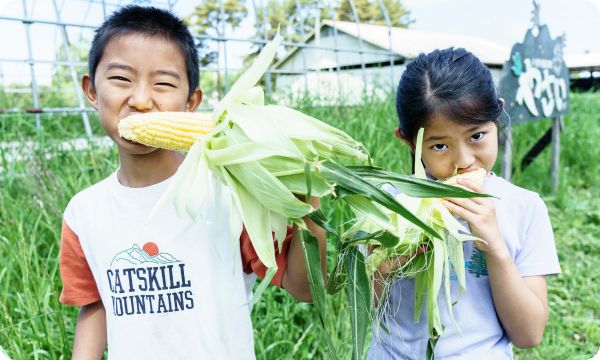 とれたて野菜をパクっ！畑づくり体験（八ヶ岳農学校ワークショップ）