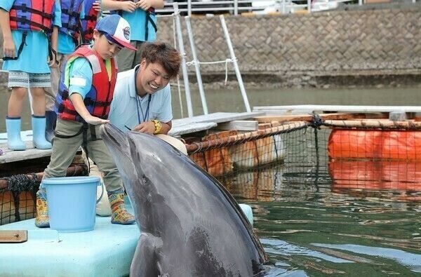 8月24日（土）イルカ飼育員のお仕事をしよう@静岡県