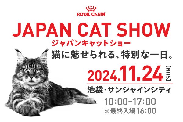 JAPAN CAT SHOW