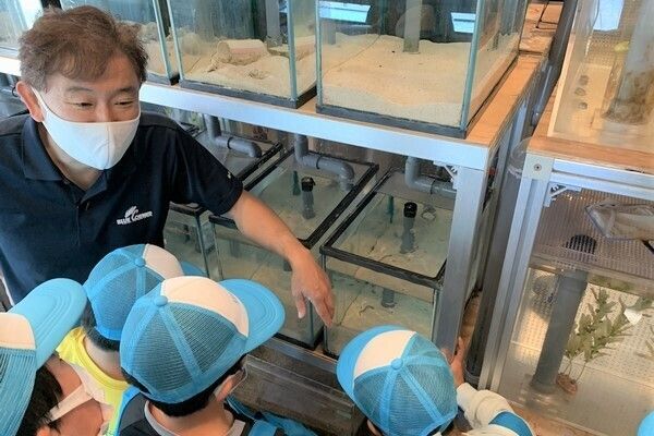 世界唯一のお仕事体験！海の手配師に挑戦～水族館に生き物を送るお仕事～