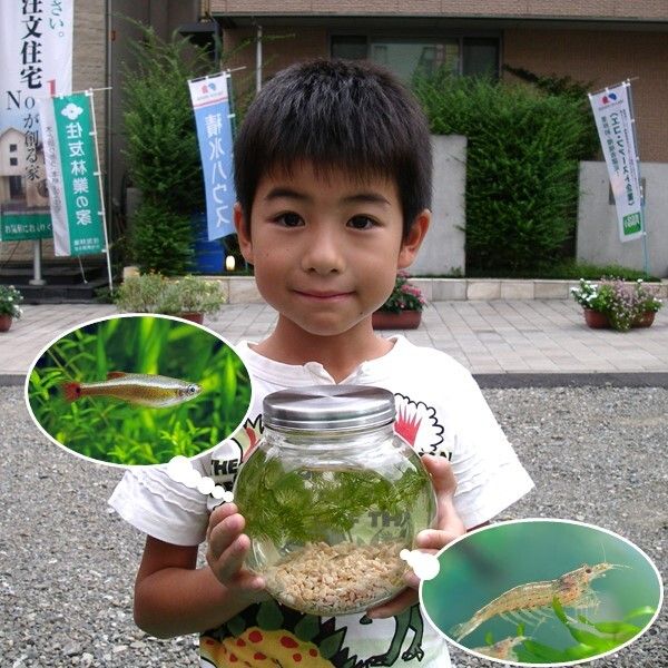 【池袋】ボトルアクアリウムづくり