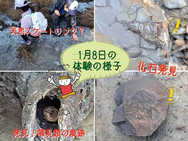 古代の化石発掘から現代の生存戦略まで！いきもの散策体験