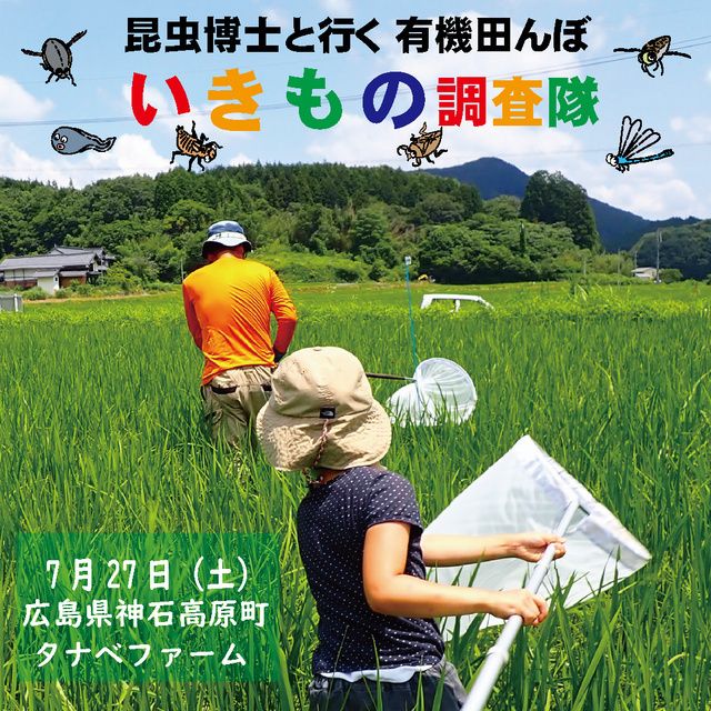 昆虫博士と行く　有機田んぼ　いきもの調査隊