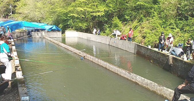 『ニジマス釣り体験』その場で塩焼き