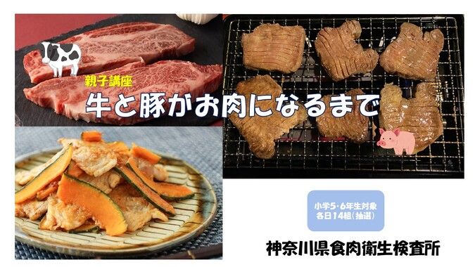 《夏休み親子講座 2024》　牛と豚がお肉になるまで