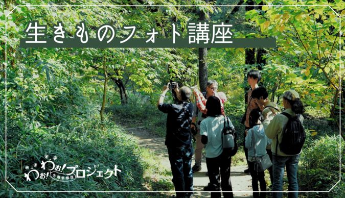 【10/14長池公園】わぉ！わぉ！自然観察会「生きものフォト講座」