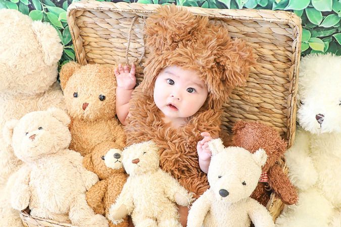 無料★プロが撮影！くま撮影会🐻11/28(木)神戸市中央区