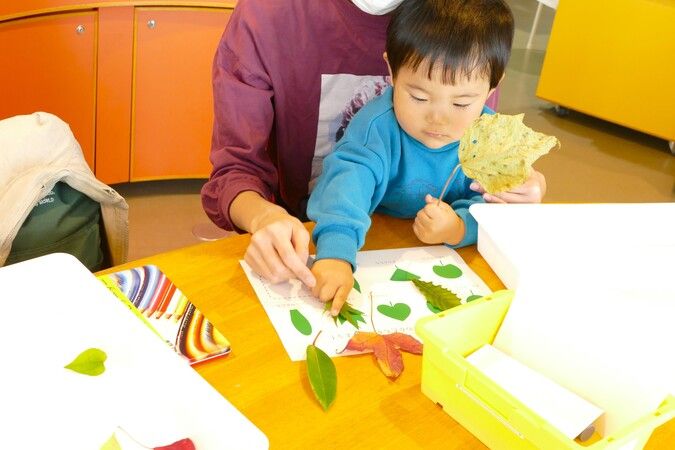 【幼児向けイベント】めばえのかがく「いろんなはっぱでなかまわけ」