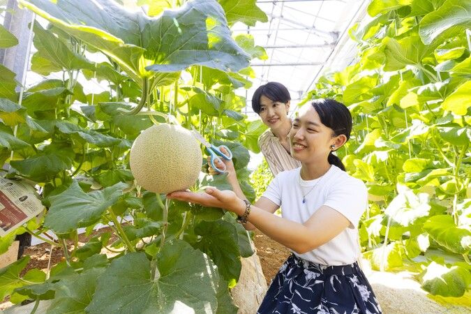 休暇村伊良湖　メロン食べ放題＆収穫体験プラン